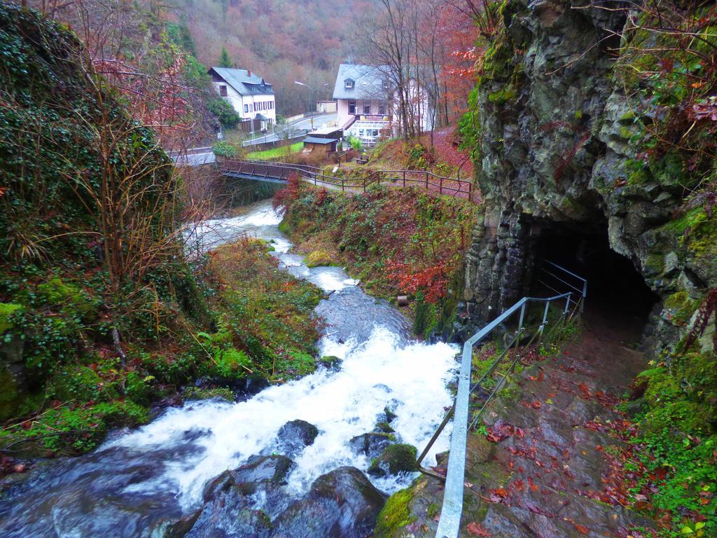 Ferienwohnungen Schenk Schmitz Bad Bertrich Exterior foto